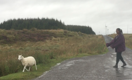 Angie chasing a sheep in the Scottish Highlands