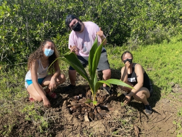 Image of Alessa Lewis, Gabriel Gilbert, and Sheen Kim around a kukui nut tree that they planted at Paʻaiau fishpond in ʻAiea, HI.