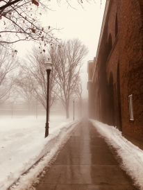 My morning walk to class! My morning walk to class!