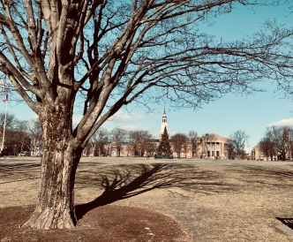 It's beginning to feel like spring! It's beginning to feel like spring!