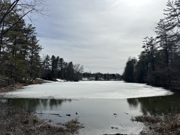 A photo Occom Pond on a sunny day. The ice is melting due to the spring sunshine!