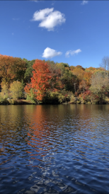 Fall View on the River