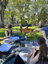 A photo of a golden retriever visiting a group of students on The Green. The students are reaching to pet the dog.