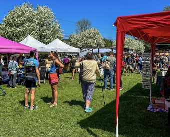 Farmer's Market