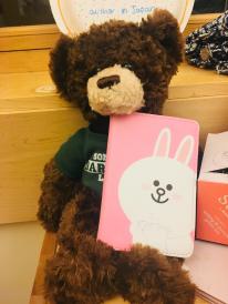 teddy passport