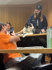 My professor's dog, Fern, sitting on a desk as a few students take a picture of him and pet him.