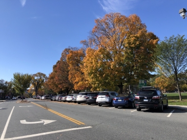 scenery fall