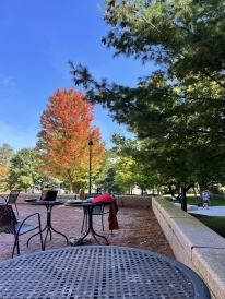 A photo of the tables at Kemeny Courtyard. There is a tree with orange leaves in the background, which is a bright blue sky.