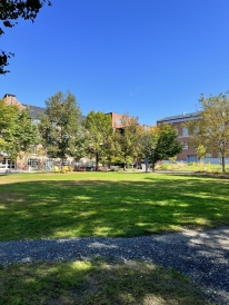 A photo of a patch of grass behind Irving and Thayer. The area is surrounded by small trees and contains benches and yellow chairs.