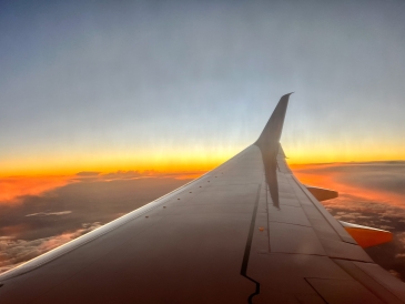 Flight Sunset