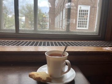 An image of a teacup resting on a table along with a cookie, overlooking a window.