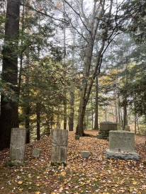 A photo of gravestones in the cemetery surrounded by orange and yellow fallen leaves.