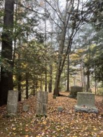A photo of gravestones in the cemetery surrounded by orange and yellow fallen leaves.