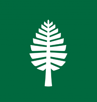 D-Pine placeholder