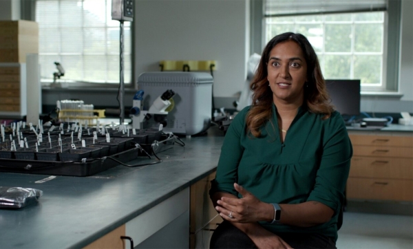 A photo of professor Chaudhary in her lab