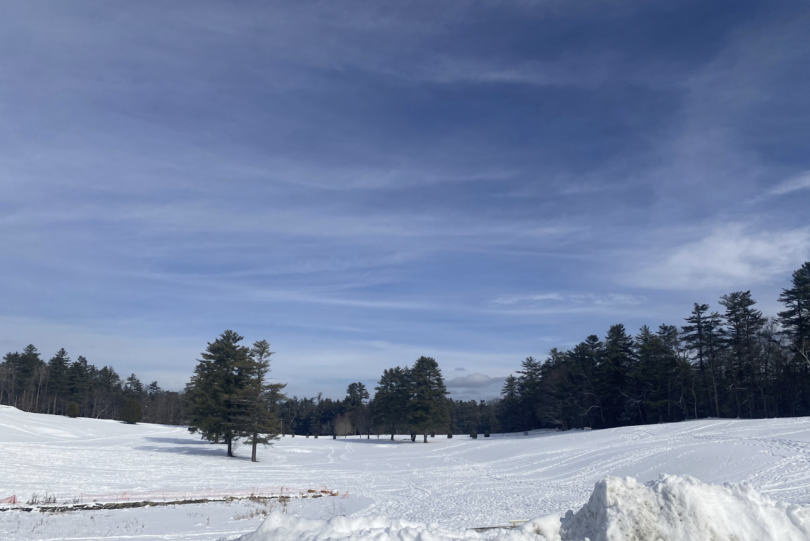 A snowy landscape with large snowdrifts in the foreground. In the mid-ground, several tall pine trees are scattered across a vast, flat area covered in untouched snow. The sky above is mostly clear with a few wispy clouds