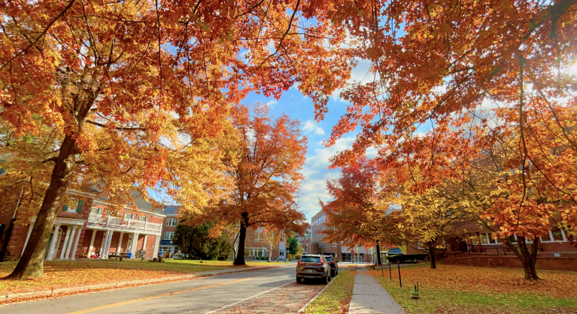 berry library view