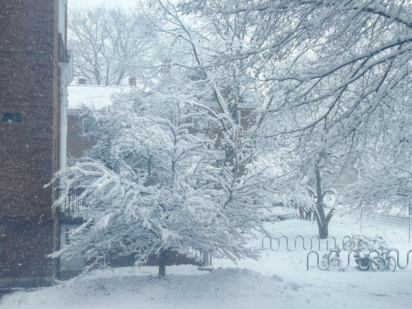 Snowy Dartmouth in April