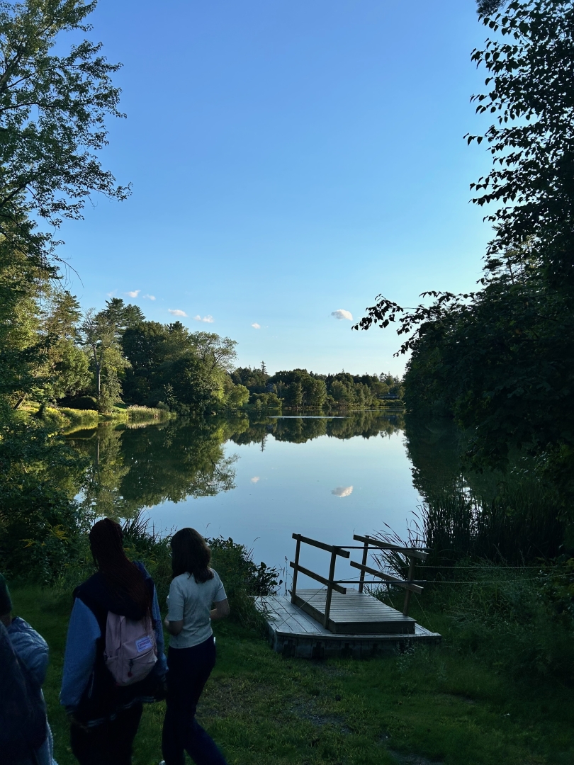 people in front of a pond on a sunny day