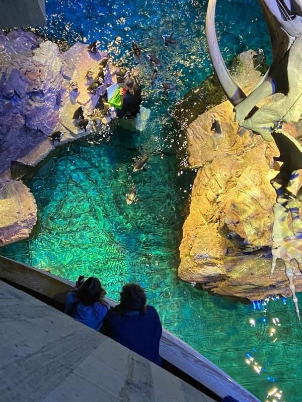 New England Aquarium. 