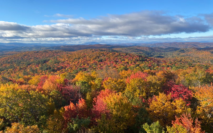 Beautiful fall foliage picture on Gile Tower