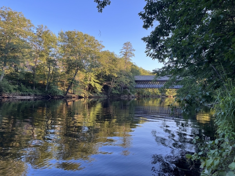 A river in the summertime 