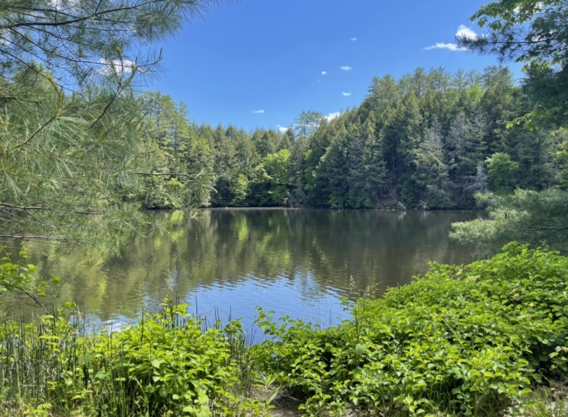 Mink Brook on the Connecticut River