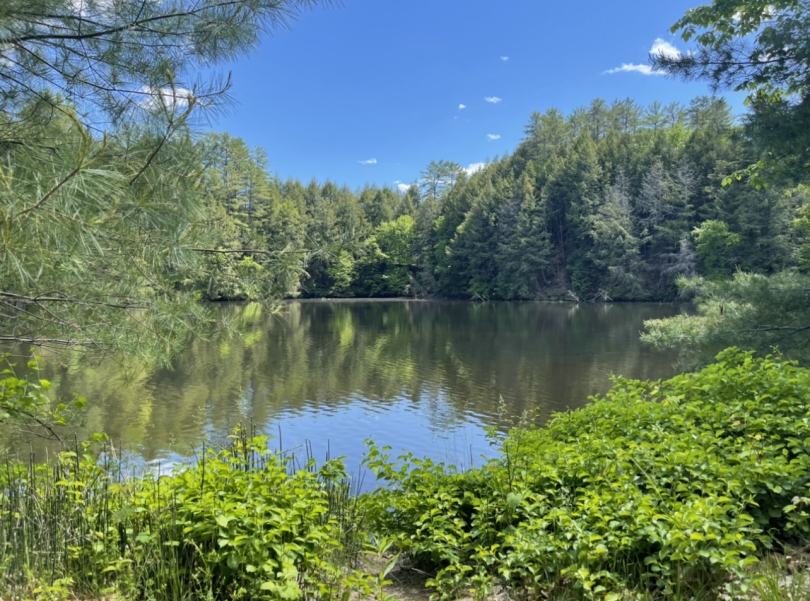 Mink Brook on the Connecticut River