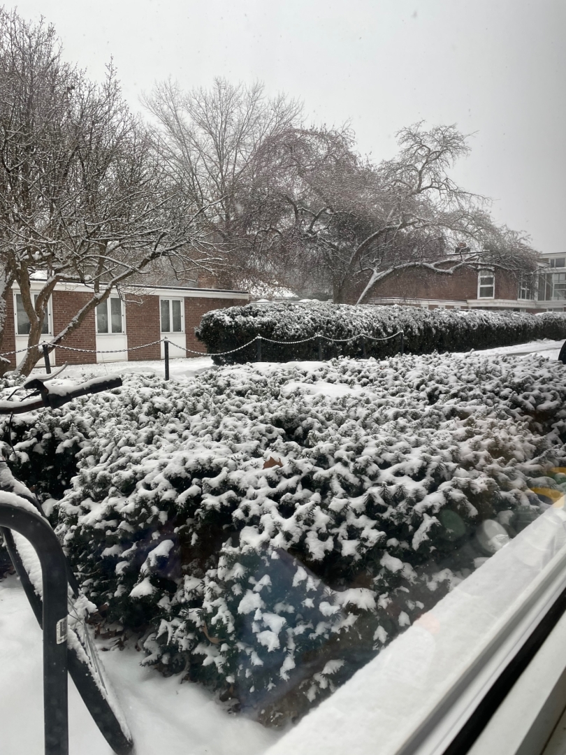 Dorm View of Snow