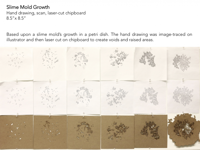 Slime Mold Growth Slime Mold Growth