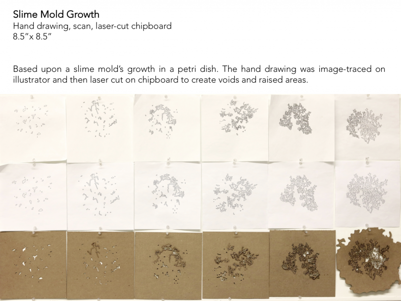 Slime Mold Growth 