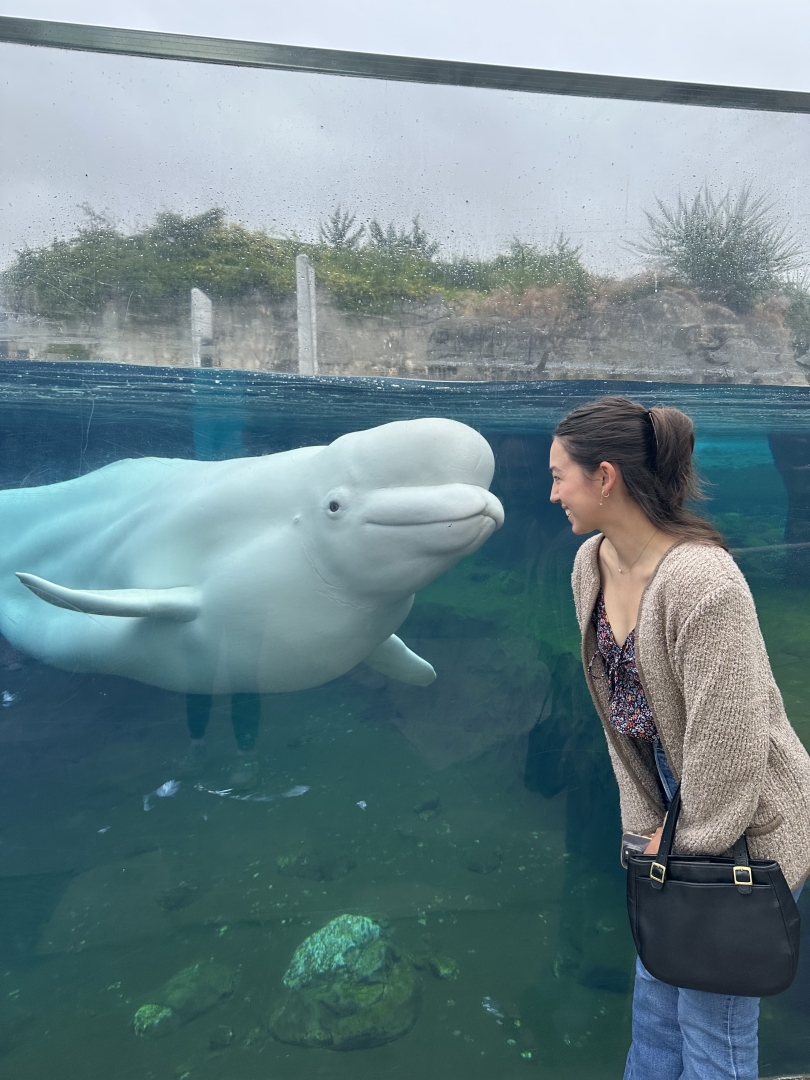Jackie and a white beluga whale at Mystic Aquarium smile warmly at one another.