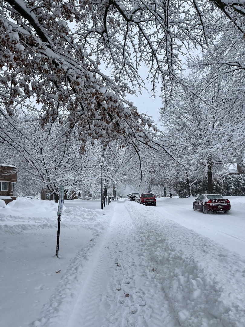 sydney wuu snowy path