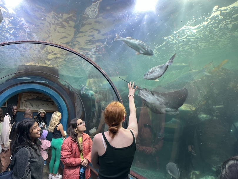 A group of Dartmouth students point at and marvel at the incredible marine animals (including a ray!) swimming over a glass tunnel at the aquarium.