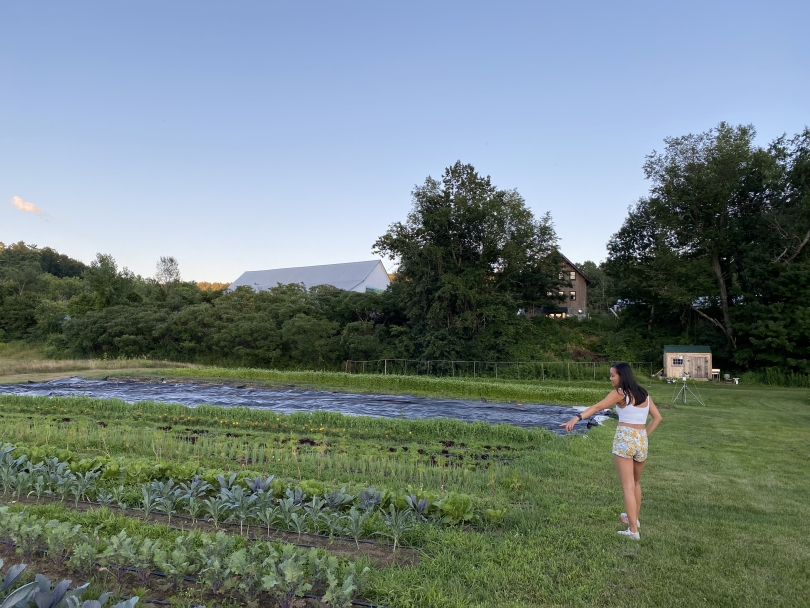 Exploring Dartmouth's very own Organic Farm during Sophomore Summer