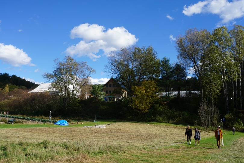 Organic Farm during Harfest