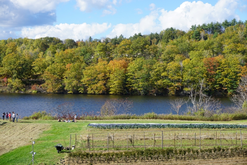 Views of the river