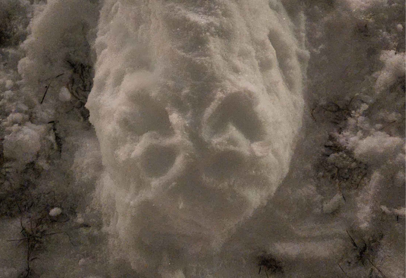 A mound of snow in a vague shape of a cat