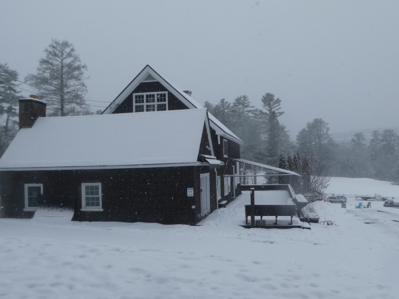 Dartmouth DOC house snow pic