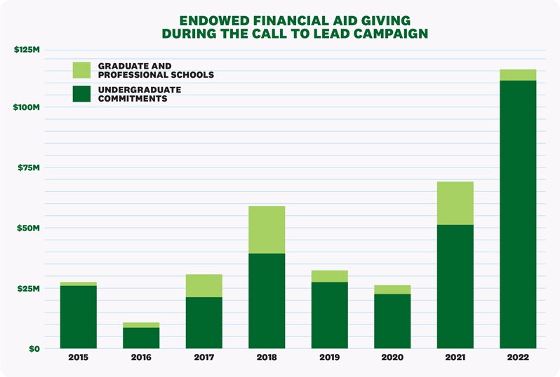A graphic of endowed financial aid through the campaign
