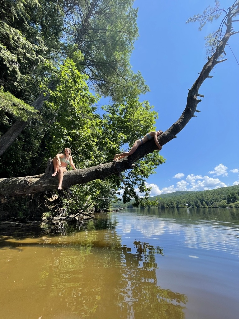 Rope Swing