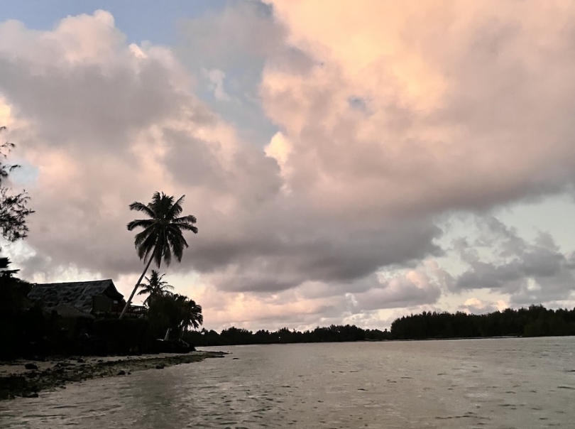 Muri Lagoon on Rarotonga in the Cook Islands at sunset. The silhouette of a palm tree contrasts against a pink and blue sky.