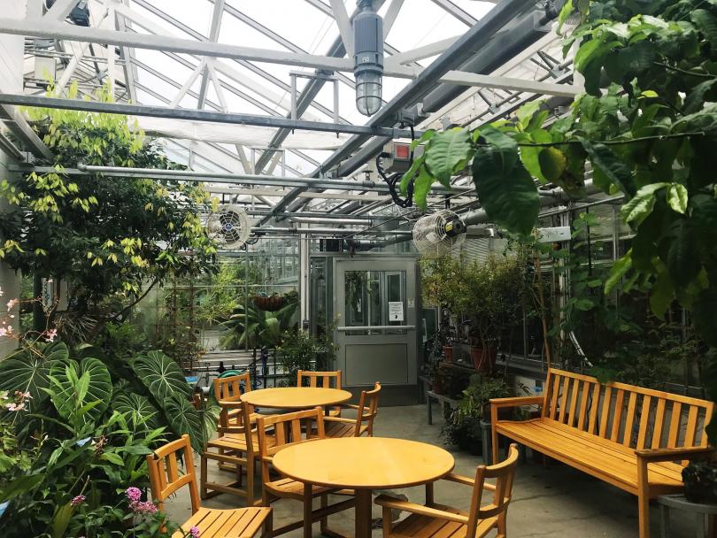 Greenhouse
