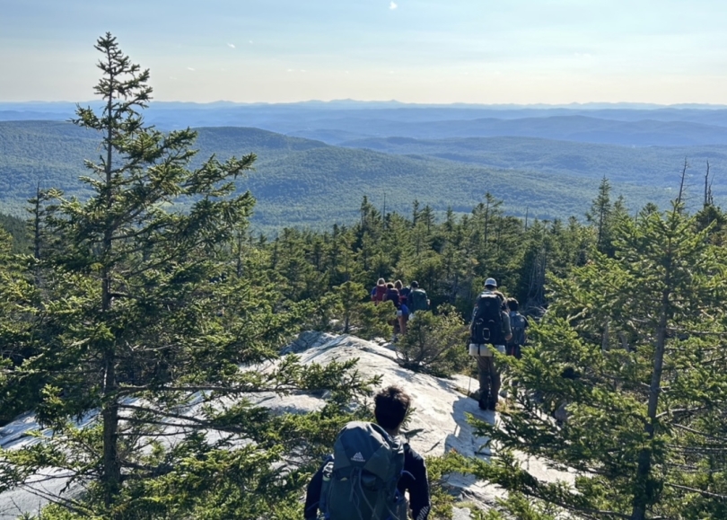 Picture taken from the top of a tree-covered mountain looking down at the hills below. 