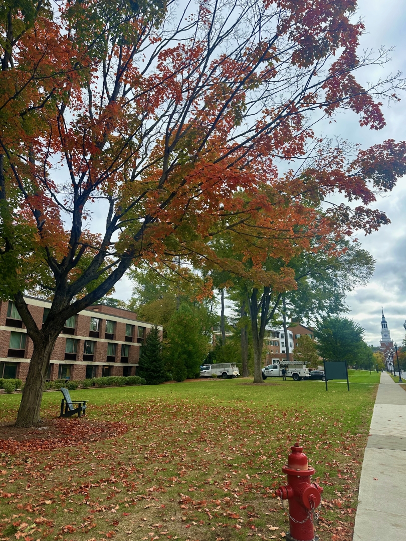 Bright and vibrant fall foliage with a large oak tree in full autumn colors, its leaves scattered across the ground. A lawn chair sits in the grass beneath the tree, while a red fire hydrant adds a pop of color in the background.