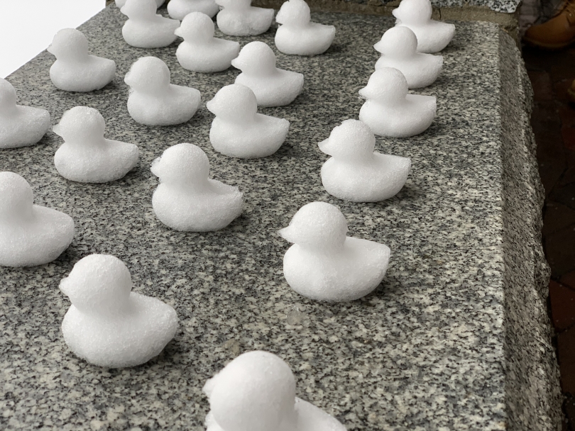 Snow ducklings