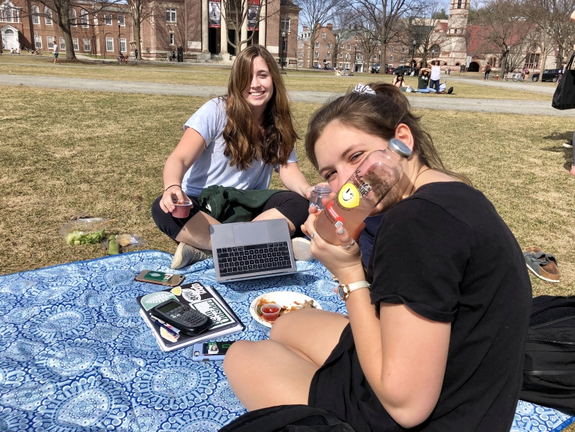 Picnic on green