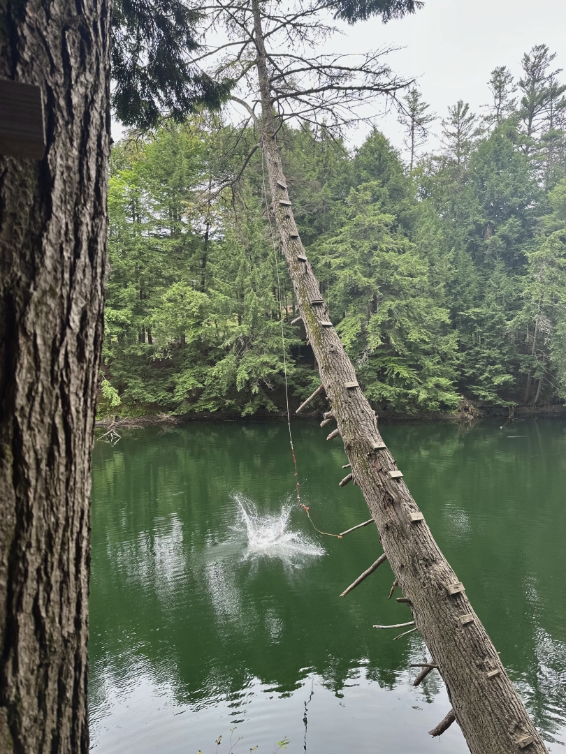 Rope swing