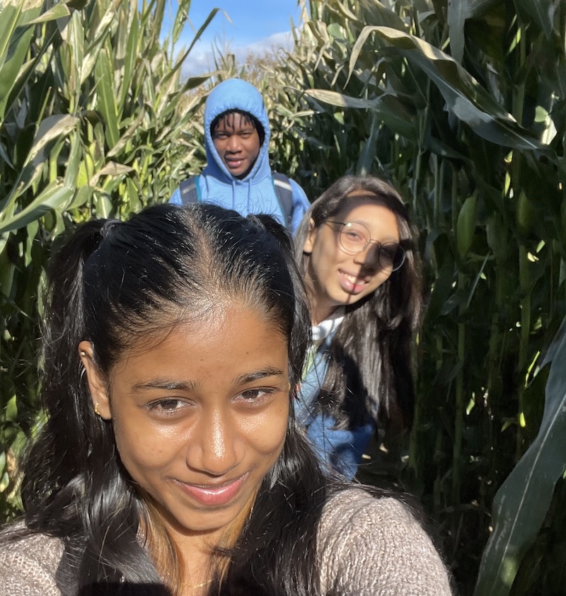 Corn Maze