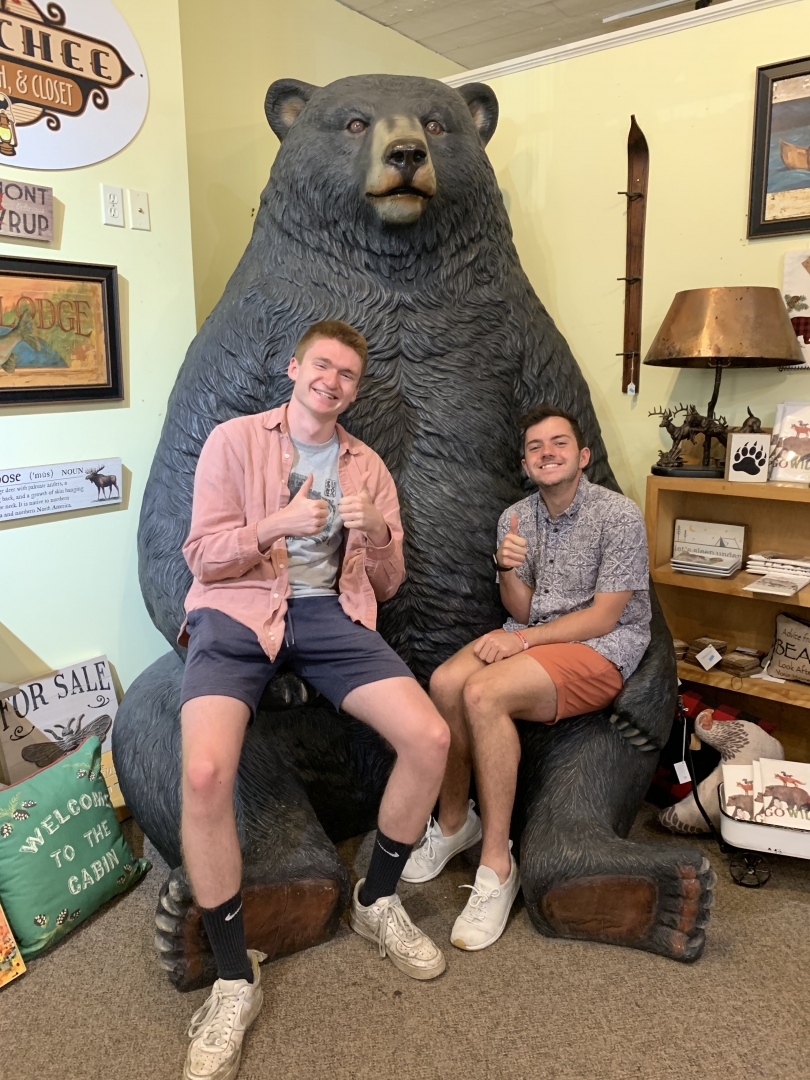 The Bear-Chair! BearChair